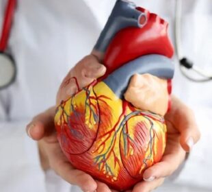 Cardiologists