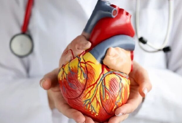 Why Cardiologists Recommend Lifestyle Changes To Improve Heart Health Cardiologists