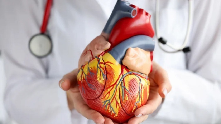 Why Cardiologists Recommend Lifestyle Changes To Improve Heart Health Cardiologists